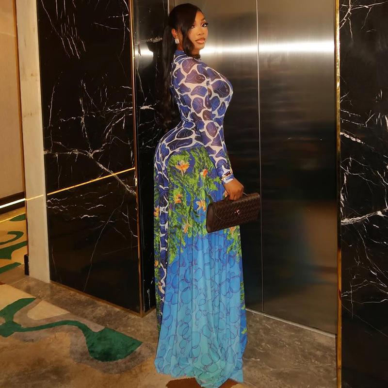 Women Abstract Printed Mesh Sheer Maxi Dress High Neck Long Sleeve Bodycon Dress Elegant Daily Party Dress Factory Supply