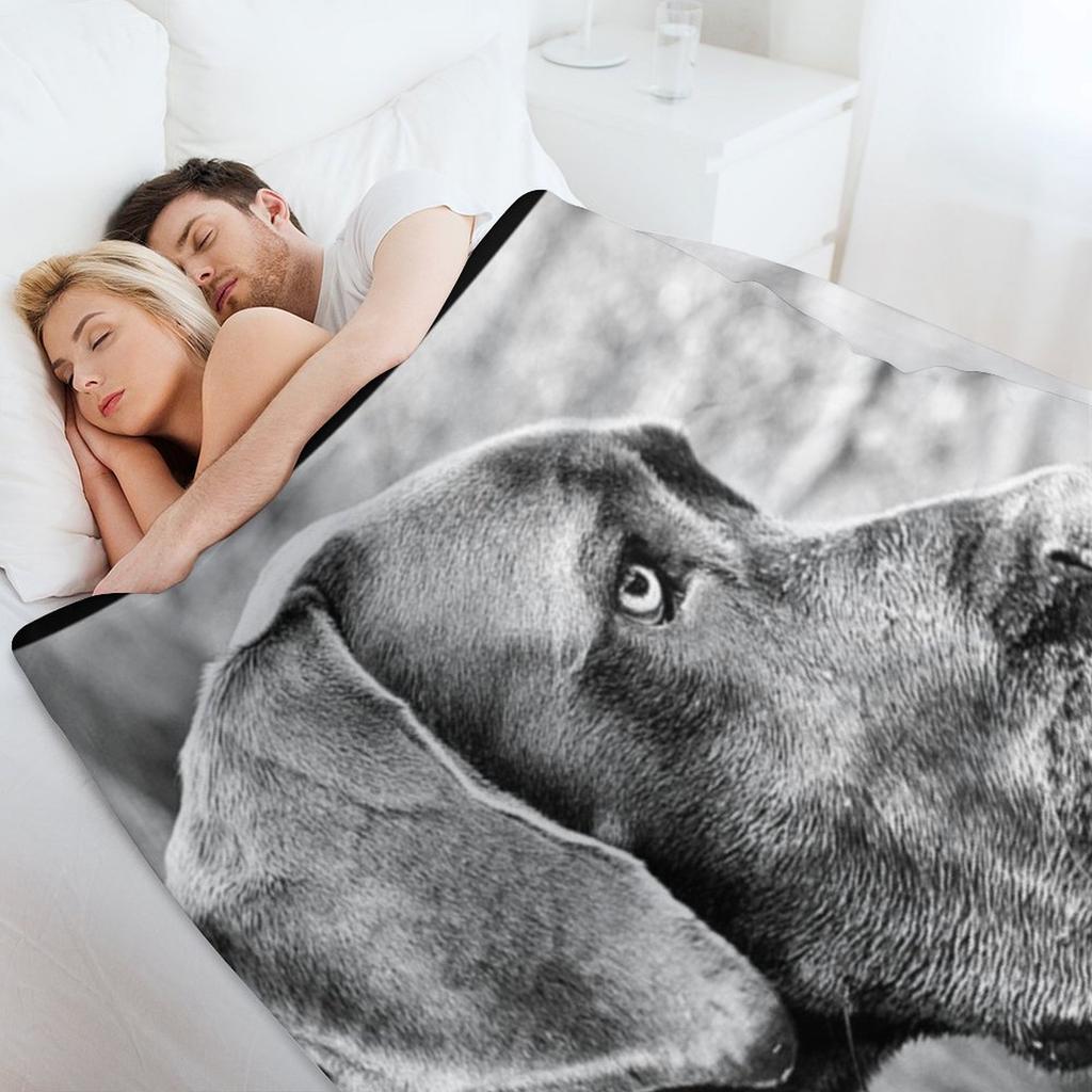 Blue Black Great Dane Throw Blanket For Baby Sofa Quilt Winter Beds Beautifuls Blankets