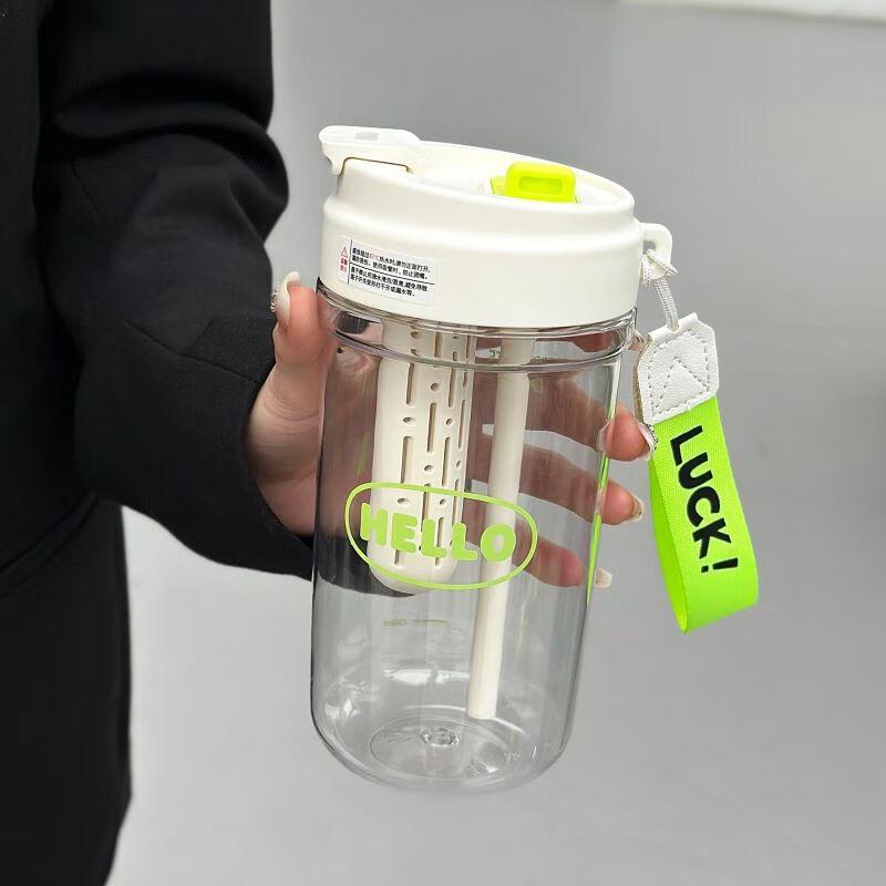 Shangqi Portable Tea Infuser Water Bottle