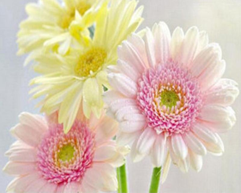 5D DIY Diamond Painting Full Round Square Rose Landscape Rhinestones Diamond Embroidery Cross Stitch Flowers Mosaic Handicraft