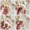 12pcs/set Updated Simulated Dinosaurs Skeleton Toy Model Realistic Animals Brachiosaurus Rex Toys For Children Christmas Gifts