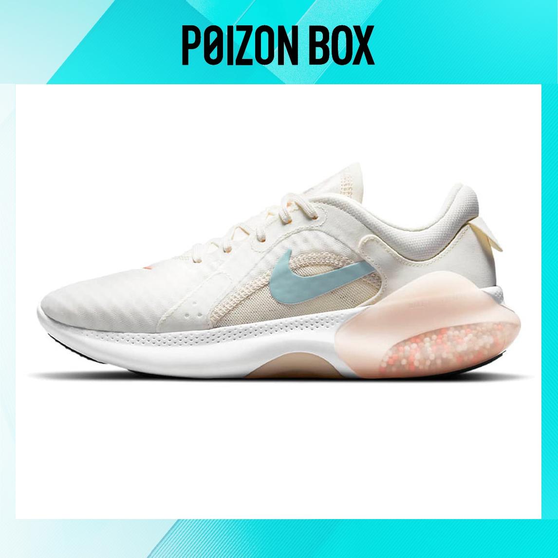 

кроссовки Nike Joyride Dual Run 2 Running shoes Women CT0311-104