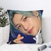 Korean Boy Felix Pillow Case Novelty Pillow Cover Comfy Pillowcases For Office Car Home Decor