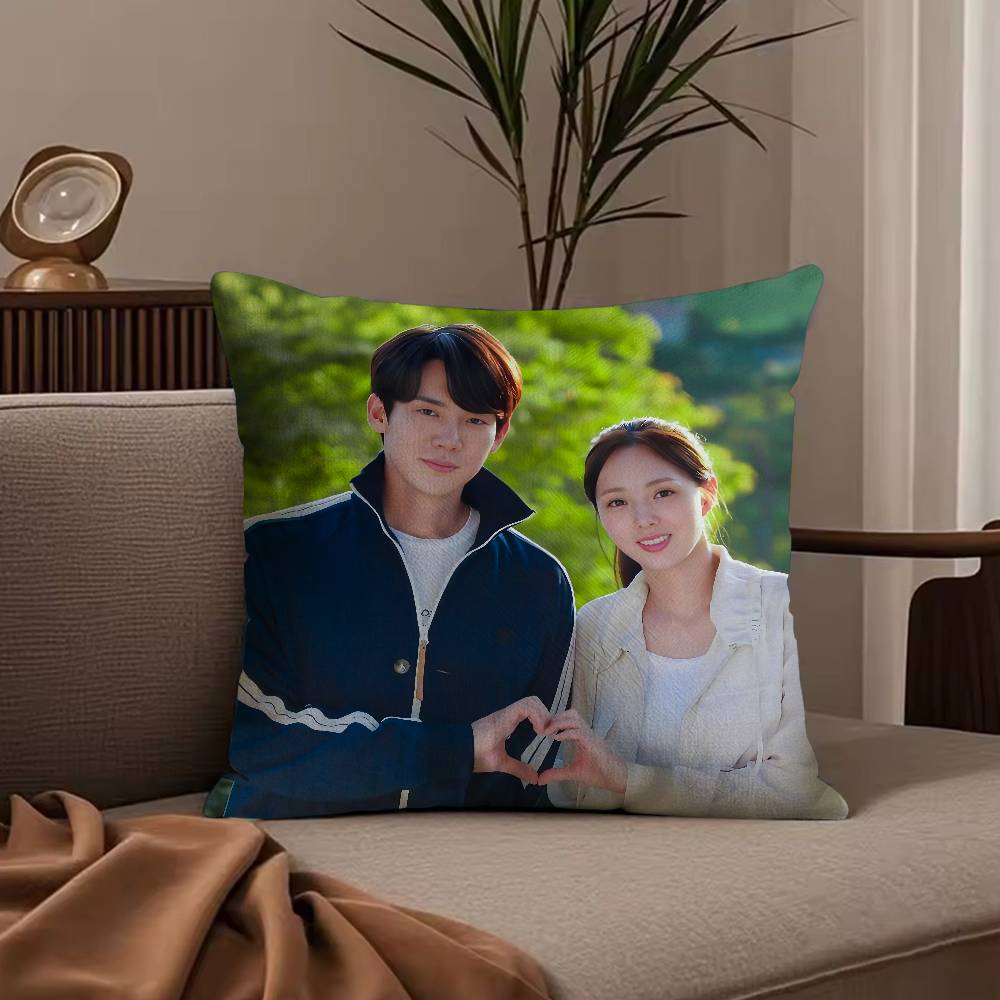 W-When the P-Phone R-Rings TV Pillow Case Anti-dustmite Pillowcase Invisible zipper silky short plush Sofa cushion cover