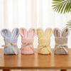 5Pcs Rabbit Towel Set Easter Gift Home Kitchen Bathroom Decor Supplies Wedding Baby Shower Kids Birthday Party Favors Guest Gift