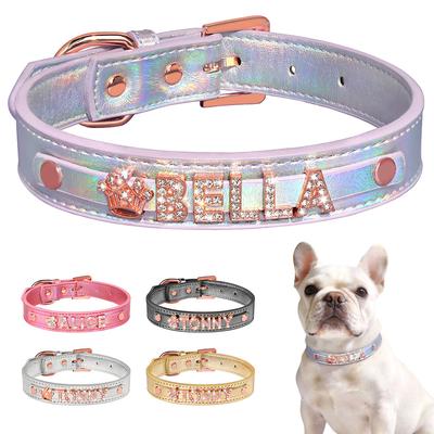 Cani – Collari e guinzagli per cani