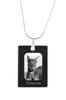 Dobermann, Doberman Pinscher, Dobie – Crystal Pendant with Dog, Silver Necklace with Photo |