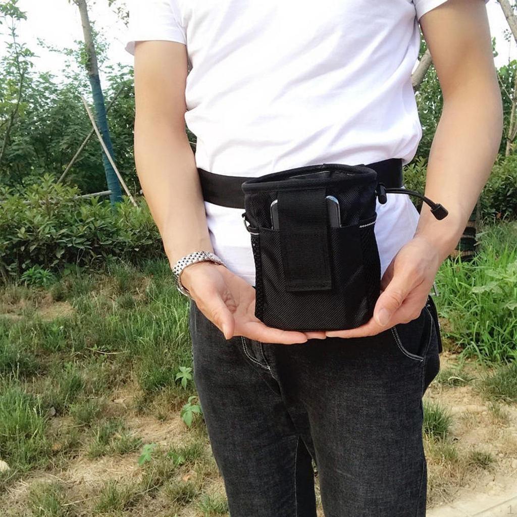 Dog Training Treat Pouch Kibble Carrier Compact Walking Waist Bag Portable for Pet Snack