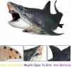 Realistic Dinosaur Megalodon 28Cm Like a Living White Shark Predator