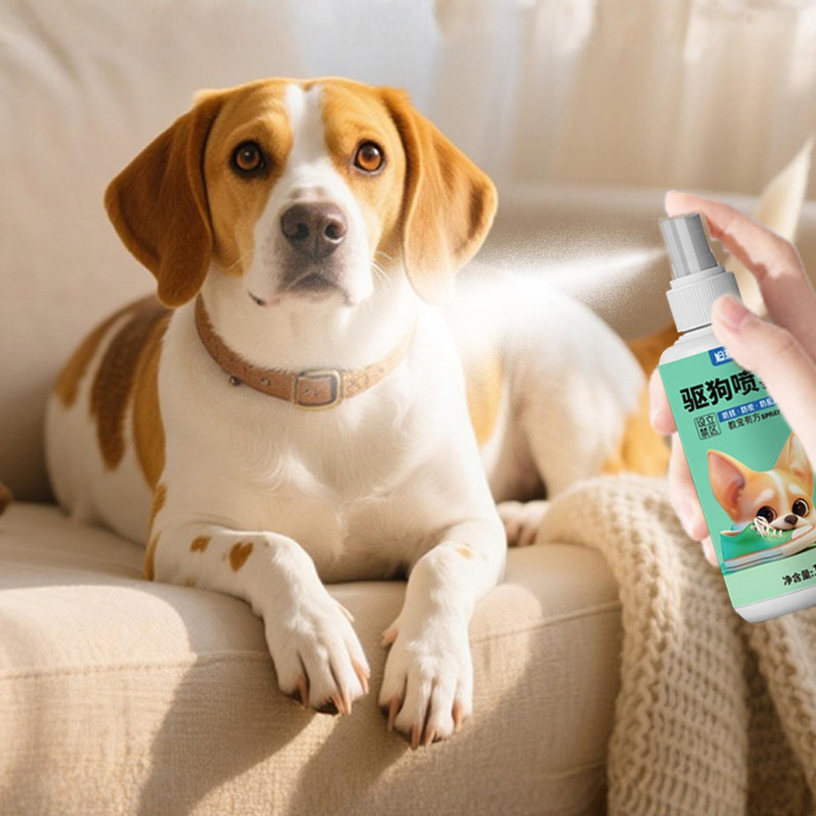 

Pet Spray 120ml -Chew -Pee Dog Deterrent for Pet Restricted Area one size зелений