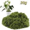 1 ks 30/50/100/300 g Pohádková zahrada Svatba Večírek Květinová výplň Umělý mech Krajina Dekorativní Falešný konzervovaný mech Domácí dekorace
