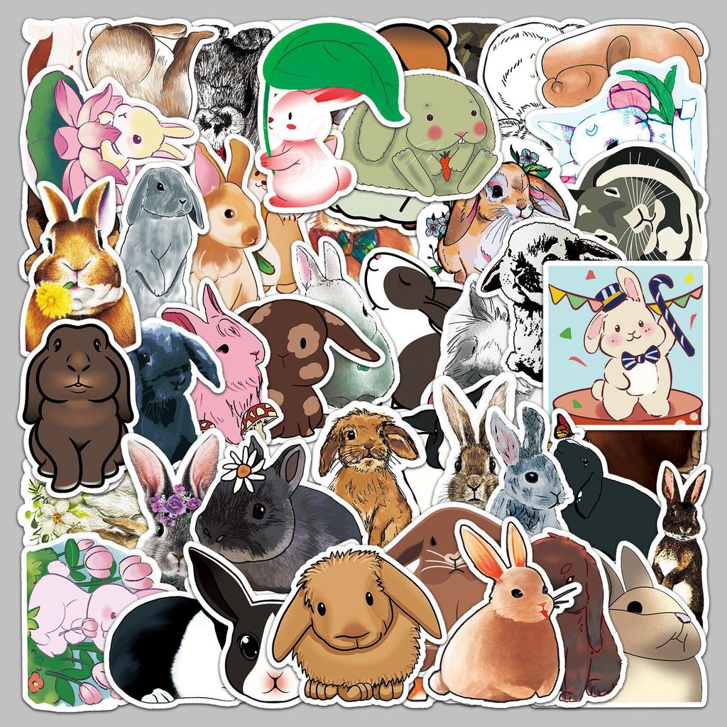 50 Cartoon Rabbit Ins Style Decorative Stickers for Suitcase, Laptop, Scooter, and Car.