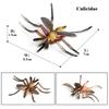 Oenux Wild Insect Animals Model Mantis Grasshopper Butterfly Bee Beetle Action Figures PVC Science Education Collection Kid Toy