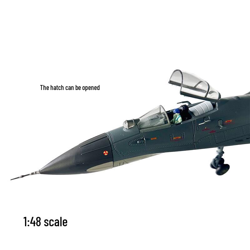 Die-cast J-11 Fighter Jet Model 1:48 Scale