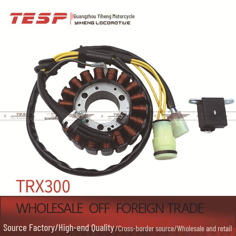 TESP TRX300 Electric Vehicle Motorcycle Stator Coil Accessories