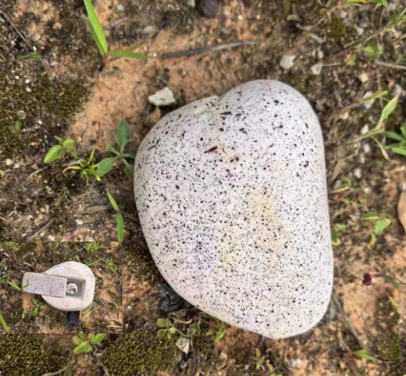 

Disguised Rock Key Storage for Outdoor Spaces - Spacious Imitation Stone Safe - Appears As a Rock - Conceal a Key Outdoors