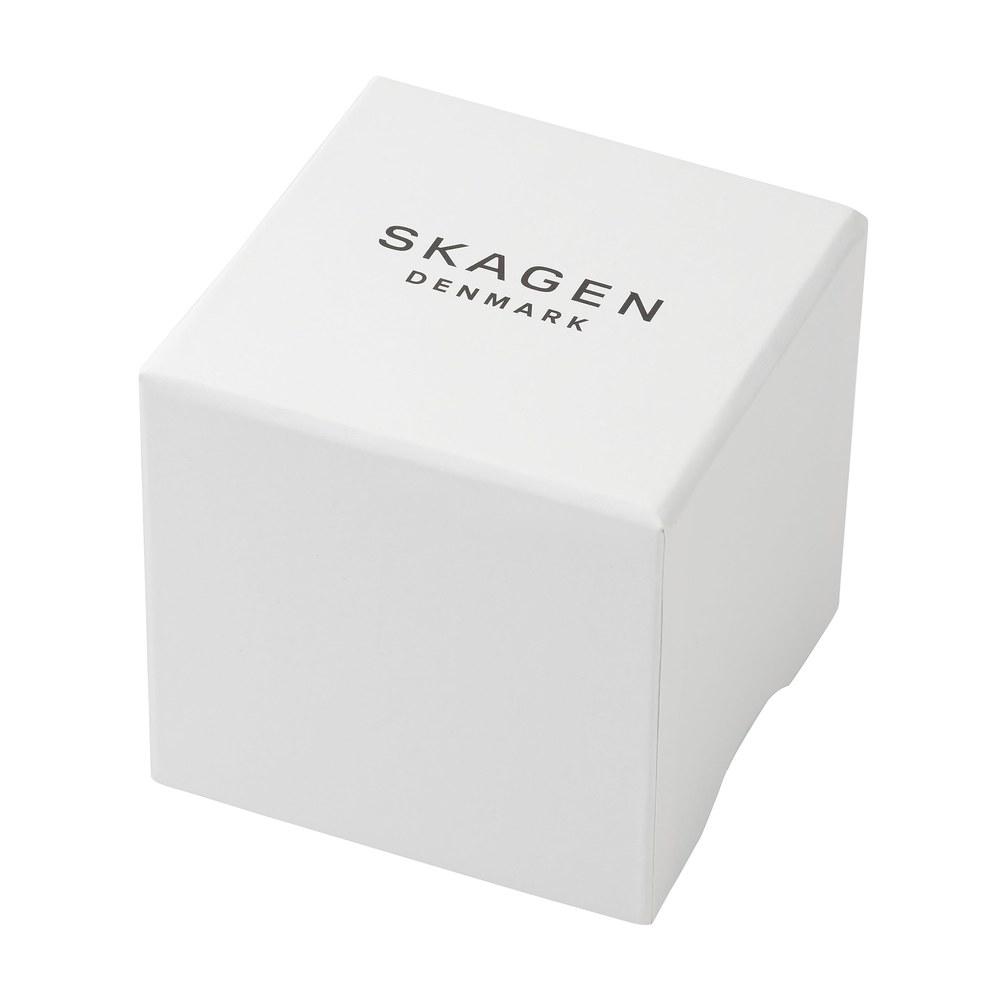 Skagen Signatur Watch SKW6904 Men's Silver