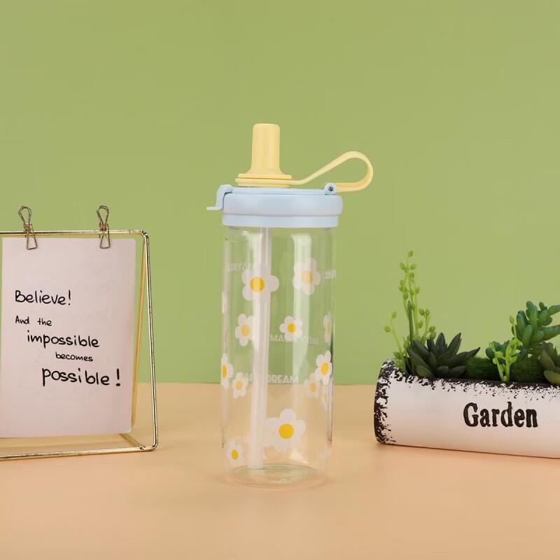 Cherry & Chrysanthemum Double-Drink Glass Cup Set