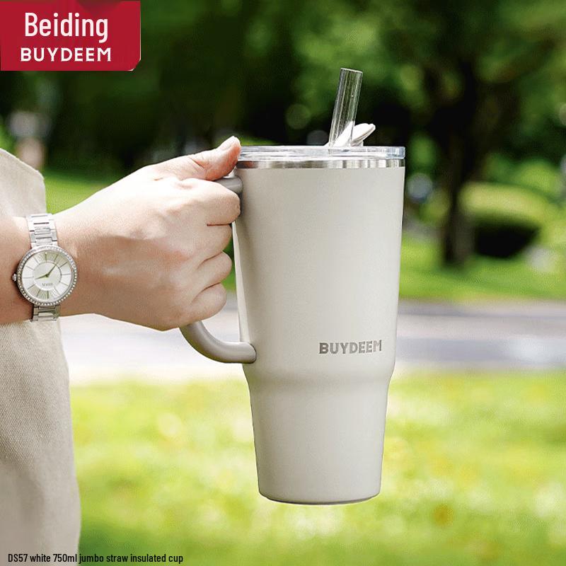 Buydeem 750ml Stainless Steel Insulated Straw Tumbler