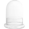 Hemoton Glass Display Dome,Clear Glass Dome for Micro Landscape DIY,Clear Cloche Bell Jar Terrarium Display Bottle,Decorative Case for Plants