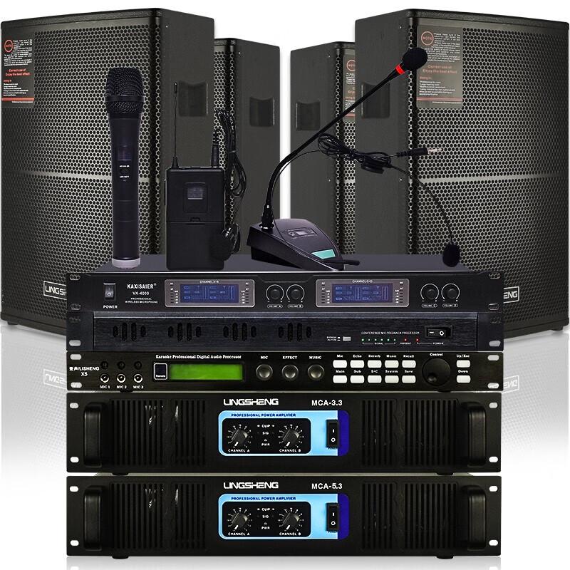 LINGSHENG Professional Conference Audio System Set CN Plug (adapter Included) (CN Version)