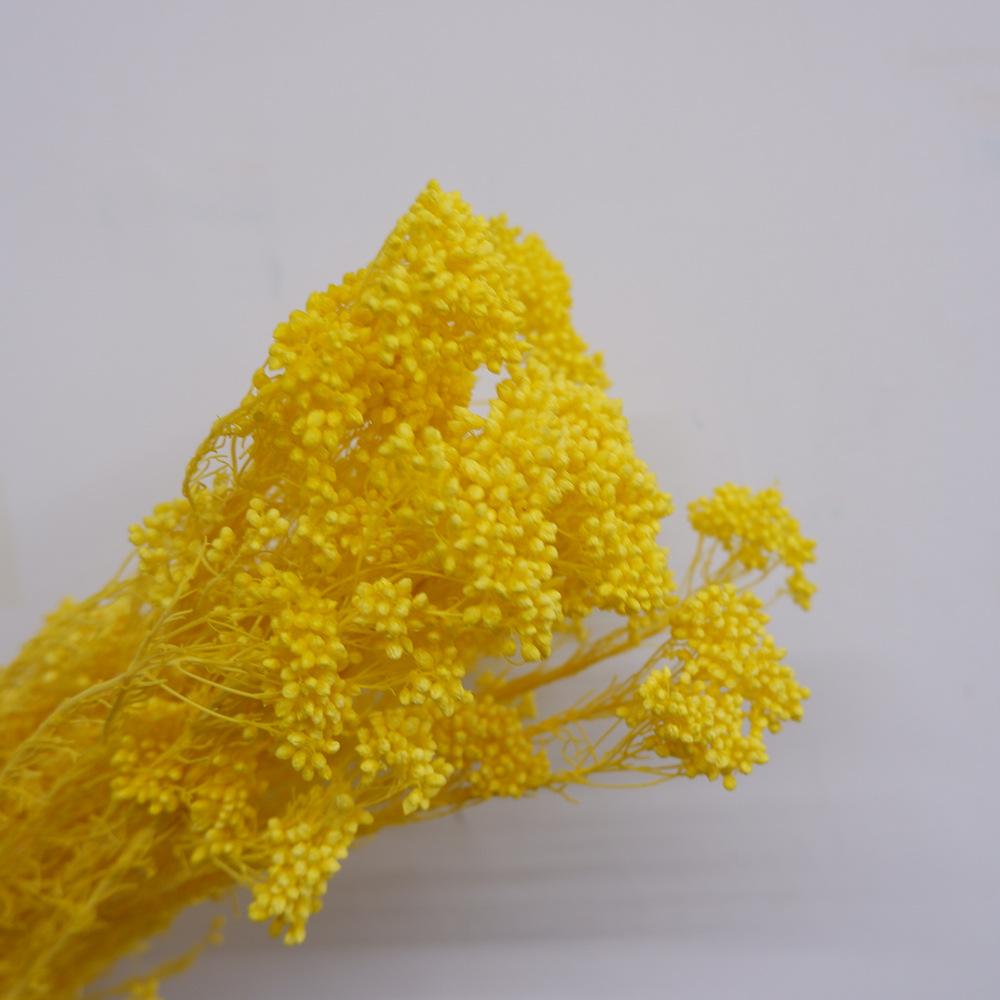 Eternal Flower Bleaching Millet Flower, Preserving Flowers, Rice Flower Eternal Flower Dried Flower Rice Grass Home Decoration Bouquet Accessories