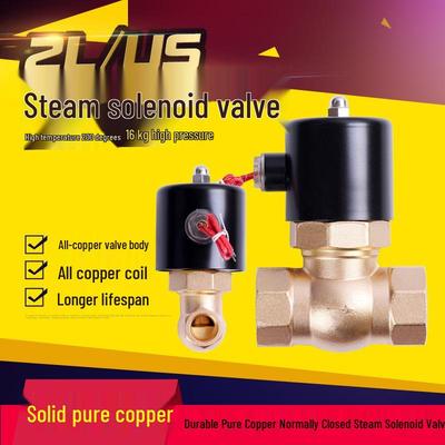 2L All-Copper Steam Solenoid Valve: 16kg High Pressure, 200°C High Temperature