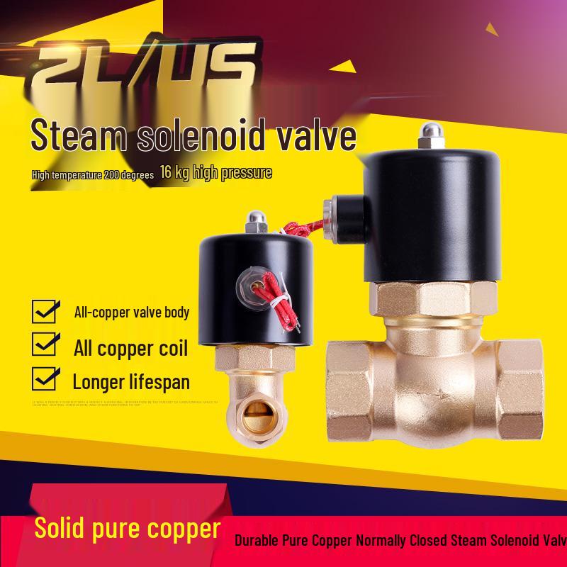 

2L All-Copper Steam Solenoid Valve: 16kg High Pressure, 200°C High Temperature 1/2 inch steam AC220V