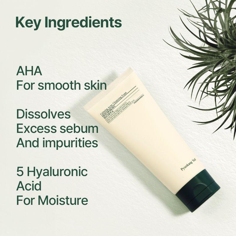 Pyunkang Yul Calming Acne Cleansing Foam 100ml