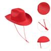 Cowboy Hat Country for Halloween Fancy Dress Costumes Performance Cosplay