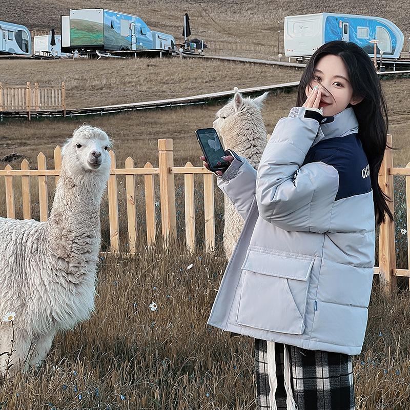 

Осенне-зимняя женская однотонная свободная и толстая теплая короткая женская куртка с воротником-стойкой