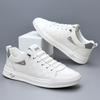 European and Korean Trendy Shoes Spring and Summer New Little White Shoes Fashion Versatile Loafers Trendy Men's Shoes Breathable Casual Driving Boar