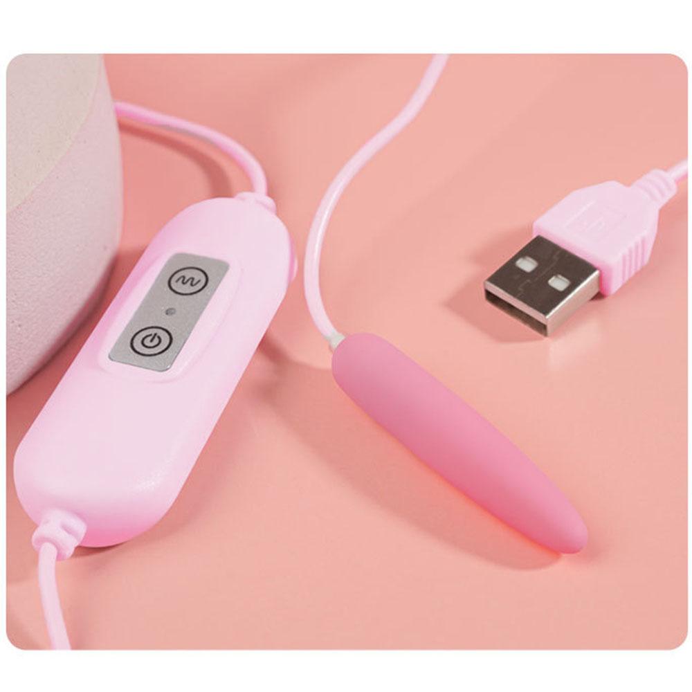 100cm Uretrální vibrátor 20 modelů Klitorální G-bod Skákací vajíčko USB napájení Vibrátor Sexuální hračka Bullet dálkové ovládání Vibrační vajíčko