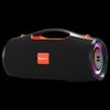 Newmen BT100 High-Power Outdoor Karaoke Bluetooth Speaker (CN version)