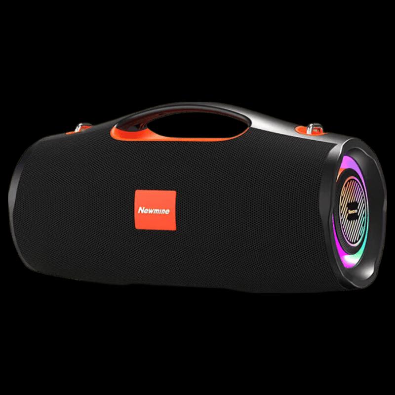 Newmen BT100 High-Power Outdoor Karaoke Bluetooth Speaker (CN version)