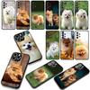 Phone Cover Pet Pomeranian Dog Casing for Samsung Galaxy S25 S24 S22 S23 FE Ultra Plus A56 A05 A06 A15 A16 A55 S7 Edge Case