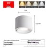 Adjustable LED Downlight