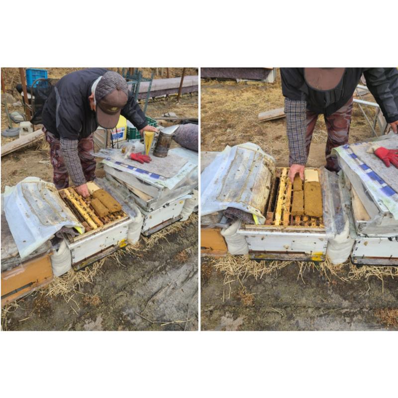 Sobaek Agricultural Corporation Rýžový koláč do květináčů Korejské včelařství Krmivo pro včely Krmivo pro včely 1kg, 1kg, 1 kus