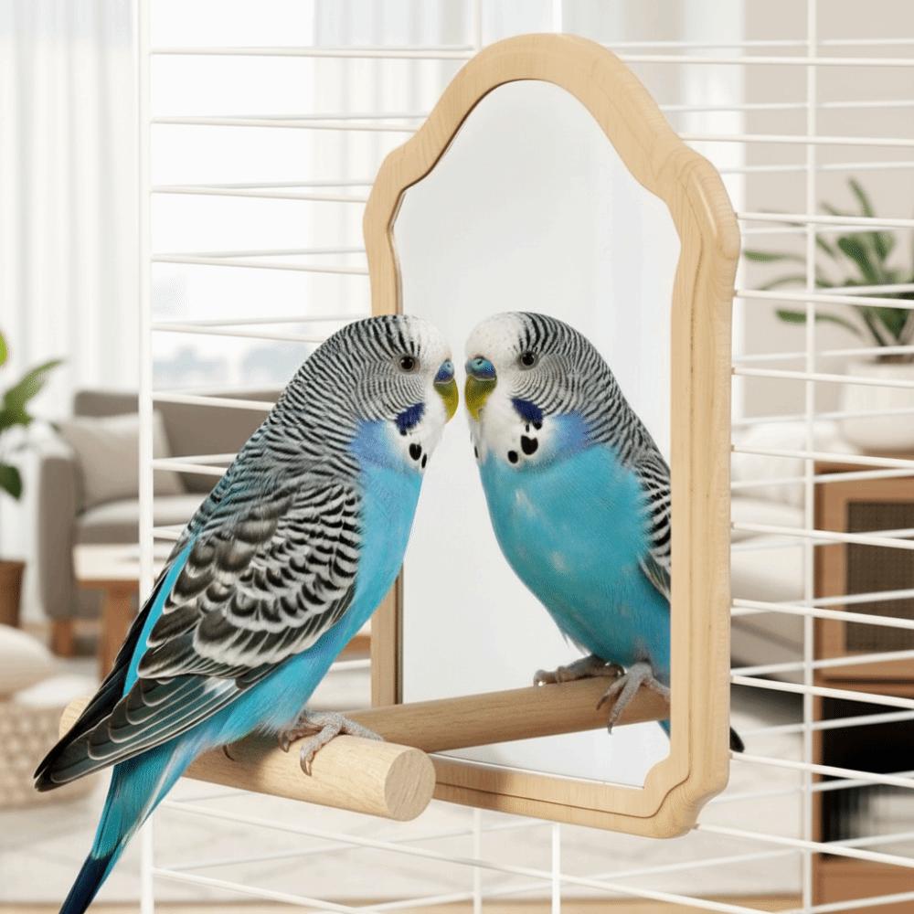 Detachable Bird Mirror Perch Wear-Resisting Parrot Platform Stand  Bird Cage Accessories