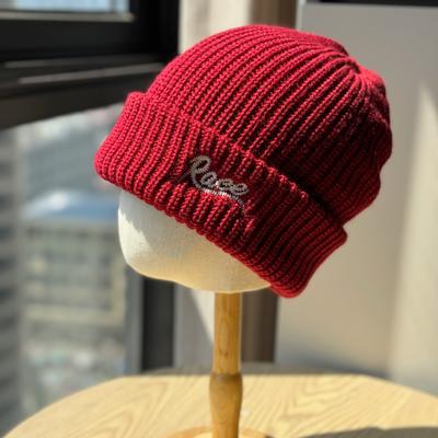 Autumn and Winter Korean Version Street Versatile Three-dimensional Letter Embroidery Warm Knitted Hat Ear Protection Cold Hat for Men