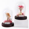 Eternal Flower Dried Flower Glass Cover Cylindrical Small Sea Urchin Night Light Gift Ornament Holiday Gift for Children and Friends