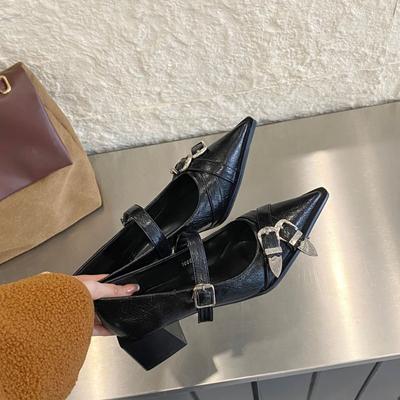 Spring Summer Fashion Retro Pointed Head Mary Jane Shoes Shallow Mouth Womens Street Style Belt Buckle Chunky Heels Talons Femme