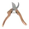 Berry Lion Pruning Shears