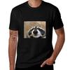 Big Raccoon Tshirt Dry Fit Running Short Sleeve Top