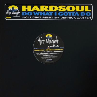 12inch Record HARDSOUL - Do What I Gotta Do AM012 After Midnight 1998 Netherland Dance & Electronica Used