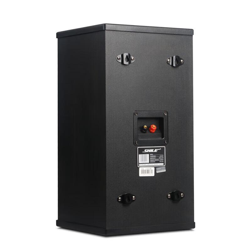 SHILE Conference Room Audio System with Wireless Microphones CN plug (adapter included)