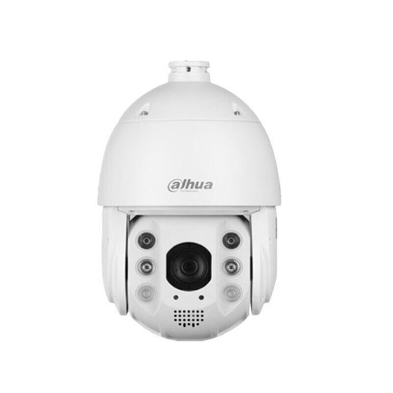 Dahua 4MP Outdoor Dual-Light PTZ Dome Security Camera CN Plug (adapter Included)