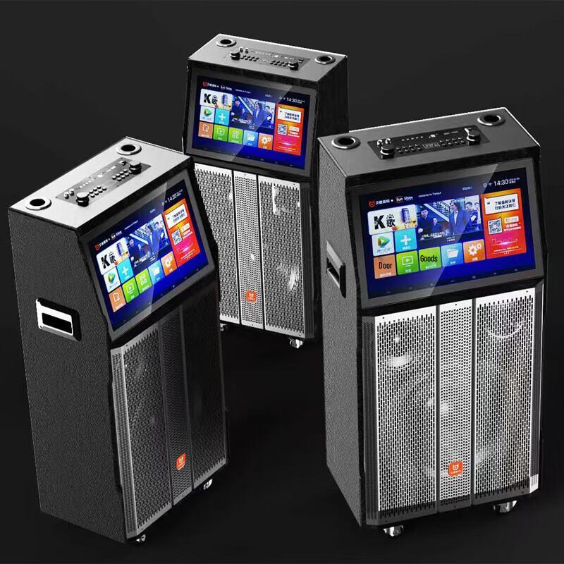 Beide Portable High-Power Karaoke System with 17-inch HD Screen CN Plug (adapter Included)