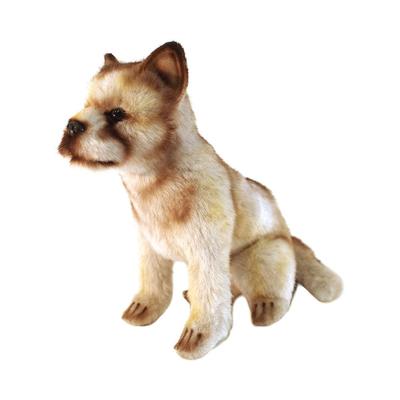 Bebek ve Peluş Oyuncaklar – Doldurulmuş ve Peluş oyuncak hayvanlar