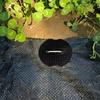 10-100 Stück Kunststoff-Pufferunterlegscheibe Gartennägel Heringe Verankerung Landschaftsgestaltung Bodenabdeckung Gartenrasen Befestigungsnägel Gartengerät